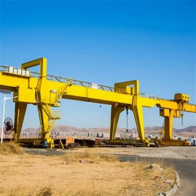 Dubbele ligger portaalkraan 100 ton